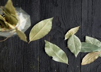 Ανάμειξε φύλλα δάφνης με μαγειρική σόδα και το σπίτι σου θα σε… ευγνωμονεί