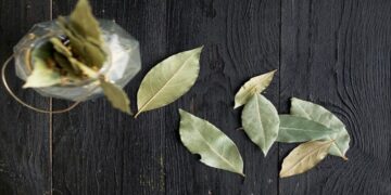 Ανάμειξε φύλλα δάφνης με μαγειρική σόδα και το σπίτι σου θα σε… ευγνωμονεί