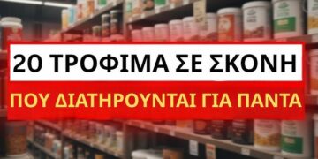 20 Τρόφιμα σε Σκόνη που Διατηρούνται για Πάντα! (Διάρκεια Ζωής 27+ Χρόνια)
