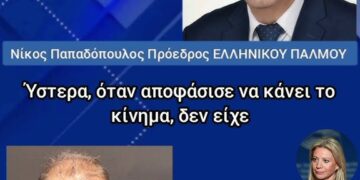 Νικόλαος Παπαδόπουλος: Θα συνεργαστείτε με την κ. Καρυστιανού;