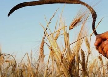 Δρ. Κ. Βαρδάκας: ήρθε ο θερισμός – αν τόσοι επώνυμοι φεύγουν, τότε πόσοι ανώνυμοι αναχωρούν;