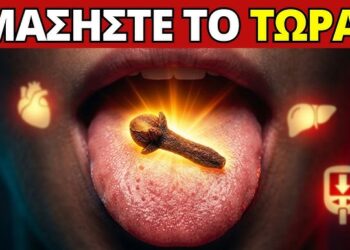 Τι Θα Συμβεί στο Σώμα αν Μασήσετε 1 Γαρίφαλο για 7 Ημέρες – Η Αλήθεια που ΔΕΝ Ξέρετε!