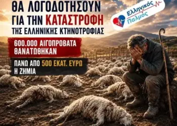 ΝΙΚΟΛΑΟΣ ΠΑΠΑΔΟΠΟΥΛΟΣ: ΘΑ ΛΟΓΟΔΟΤΗΣΟΥΝ για την ΚΑΤΑΣΤΡΟΦΗ της ΕΛΛΗΝΙΚΗΣ ΚΤΗΝΟΤΡΟΦΙΑΣ.