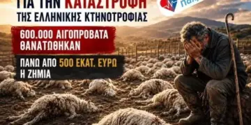 ΝΙΚΟΛΑΟΣ ΠΑΠΑΔΟΠΟΥΛΟΣ: ΘΑ ΛΟΓΟΔΟΤΗΣΟΥΝ για την ΚΑΤΑΣΤΡΟΦΗ της ΕΛΛΗΝΙΚΗΣ ΚΤΗΝΟΤΡΟΦΙΑΣ.