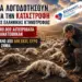 ΝΙΚΟΛΑΟΣ ΠΑΠΑΔΟΠΟΥΛΟΣ: ΘΑ ΛΟΓΟΔΟΤΗΣΟΥΝ για την ΚΑΤΑΣΤΡΟΦΗ της ΕΛΛΗΝΙΚΗΣ ΚΤΗΝΟΤΡΟΦΙΑΣ.