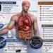 Ενέσεις mRNA: H Πρωτεΐνη-Ακίδα (Spike) Aνιχνεύεται στον Oργανισμό για πάνω από 3,5 Χρόνια μετά τον Εμβολιασμό