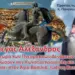 “Νά ποιός θα βγάλει την Ελλάδα από τον βούρκο της ακολασίας…” Γέροντας των Αγράφων π. Παναγιώτης Τσιώλης.