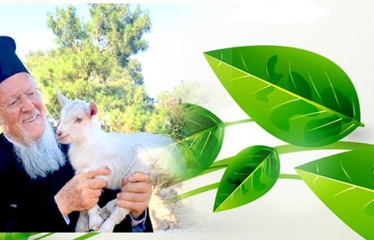 Φωτογραφία: www.naturazante.com