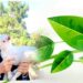 Παρασκευή Σιδέρη: 19 η φύση, 1 ο Χριστός… δεν πειράζει πράσινε πατριάρχα, ένα, αλλά “εις έναν θεό πατέρα Παντοκράτορα”!