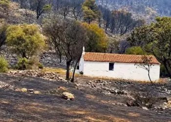 «Άφρισαν» οι θεομπαίχτες με το εκκλησάκι του Αρχαγγέλου Μιχαήλ που γλίτωσε απ’ τη φωτιά!