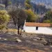 «Άφρισαν» οι θεομπαίχτες με το εκκλησάκι του Αρχαγγέλου Μιχαήλ που γλίτωσε απ’ τη φωτιά!