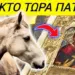 ΧΑΜΟΣ ΠΑΤΡΑ !! ΑΛΟΓΑ ΓΟΝΑΤΙΣΑΝ – ΠΡΟΣΚΥΝΗΣΑΝ Εικόνα της Παναγίας