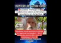 ΄Αστεγος προφήτης: Πολλοί δε θα φθάσουν μέχρι το Δεκέμβριο. Εκτός από σεισμό έρχεται και πανδημία.