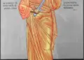 Ποία Ουκρανία και Περσικός; ο ΑΟΡΑΤΟΣ ΠΑΓΚΟΣΜΙΟΣ ΠΟΛΕΜΟΣ ενώπιον μας ΕΙΠΕ ΓΕΡΟΝΤΙΣΣΑ: