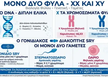 Τα φύλα είναι αποκλειστικά δύο! Αρσενικό & Θηλυκό. Τέλος στους Μύθους των Fake News!