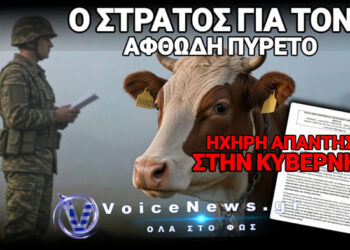ΛΕΣΒΟΣ: ΣΤΡΑΤΙΩΤΙΚΟΣ ΝΟΜΟΣ ΓΙΑ ΤΑ ΖΩΑ! ΑΞΙΩΜΑΤΙΚΟΣ ΘΑ ΔΙΝΕΙ ΕΝΤΟΛΕΣ ΘΑΝΑΤΩΣΕΩΝ ΚΑΙ ΟΠΟΙΟΣ ΔΕΝ ΥΠΑΚΟΥΕΙ ΠΛΗΡΩΝΕΙ ΠΡΟΣΤΙΜΟ