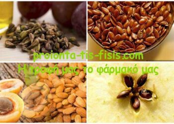 4 Κουκούτσια και σπόροι με την ισχυρότερη αντικαρκινική δράση