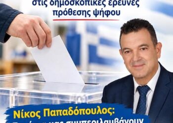 Αίτημα συμπερίληψης του πολιτικού φορέα «ΕΛΛΗΝΙΚΟΣ ΠΑΛΜΟΣ-ΝΙΚΟΣ ΠΑΠΑΔΟΠΟΥΛΟΣ» στις δημοσκοπικές έρευνες πρόθεσης ψήφου